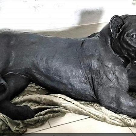 Zoologite Saint-Aignan  Kültér fotó