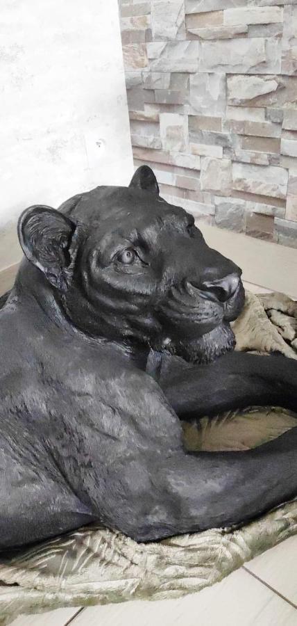 Zoologite Saint-Aignan  Kültér fotó